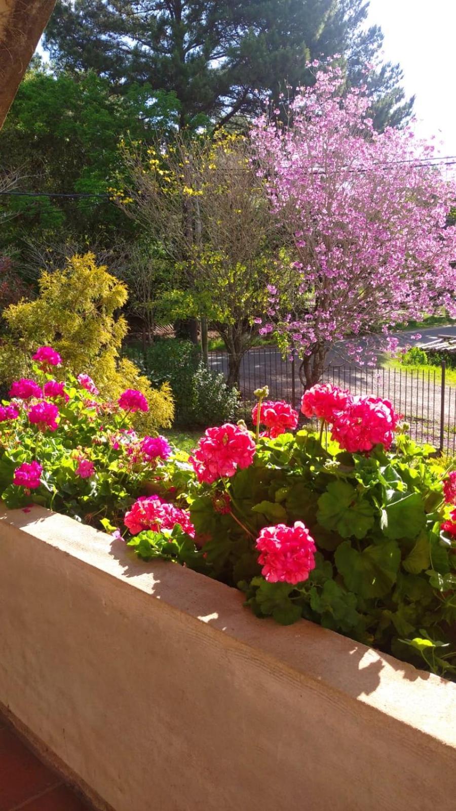 La Casona Del Lago Balneario Ipora Екстериор снимка